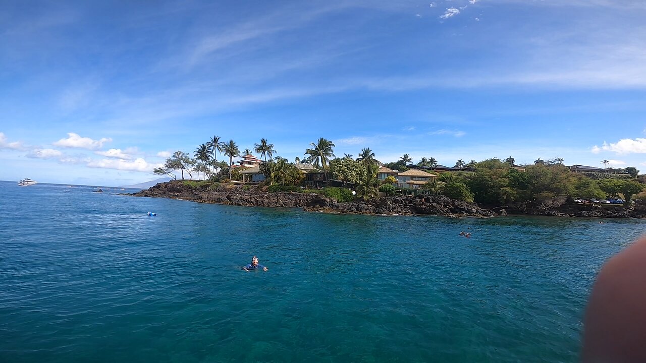 Molokini Crater Dive