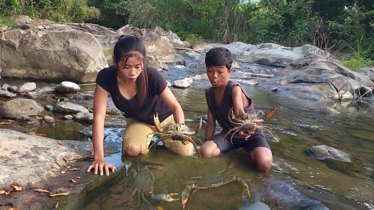 Adventure in forest: Catch and cook Big crab for food of survival - Big crabs Soup tasty for dinner