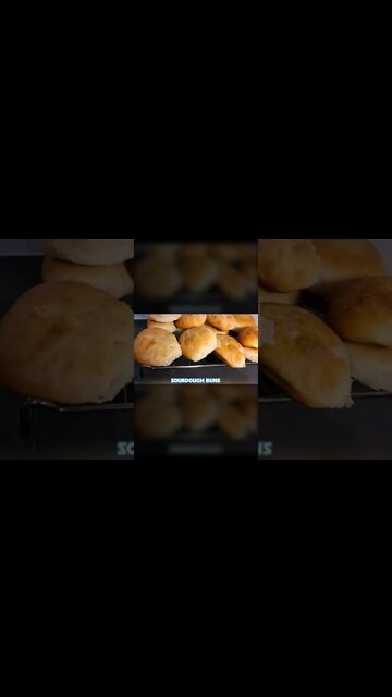 Sourdough Buns | WILD SOURDOUGH