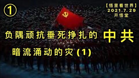 KWT2171(1-1)暗流涌动的灾-负隅顽抗垂死挣扎的中共20210729-3【悟里看世界】