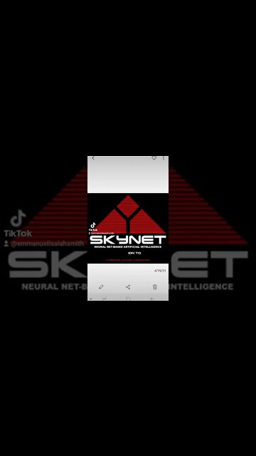 The Terminator / Gangstalking Simile