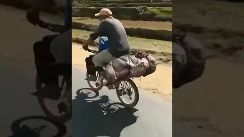 Ukrainian citizen spotted hauling a #Russian militant away #ukrainewar