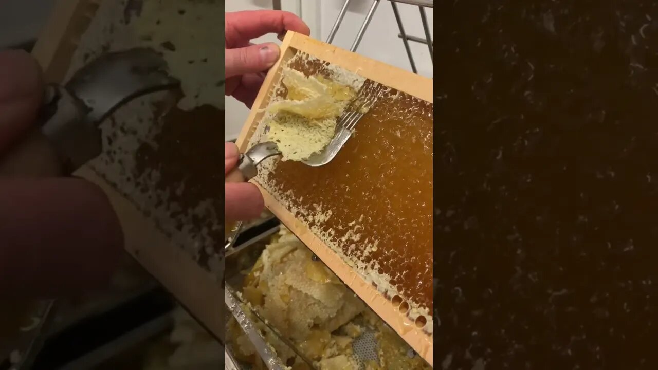 No Honey for the Bees ! 🐝 #satisfying #satisfyingvideo