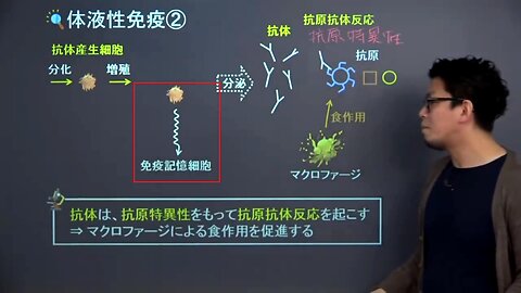ｍRNA（コロナワクチン）は「免疫記憶細胞を強制的に作成する」薬物です。／ 獲得免疫（体液性免疫）「体内環境の維持」について。／ 生物基礎（１９分で学べる）※概要欄を読んでく