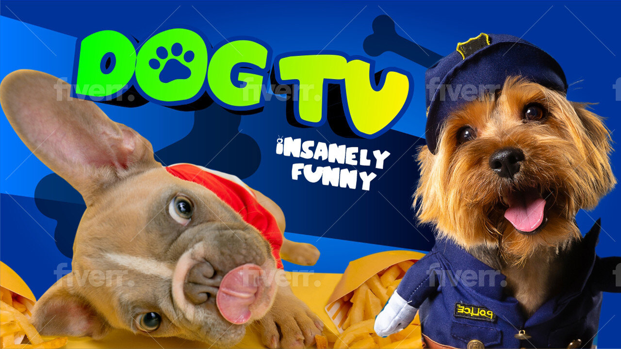 Insanely Funny Dog Video: Try Not To Laugh 2022