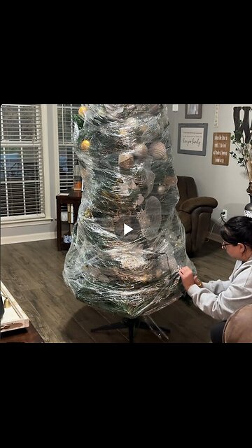 She unwraps fully decorated tree from last year to save herself time and energy this Christmas.
