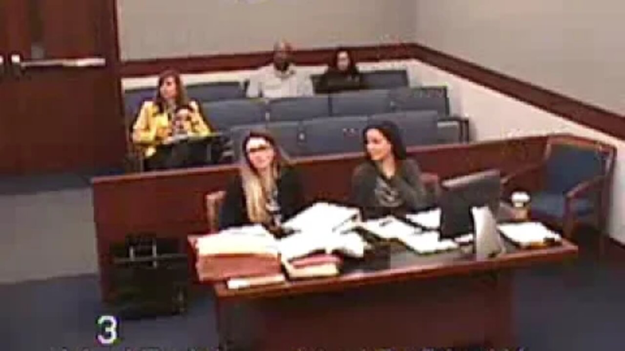 Horodesky vs. Johnson before Family Court Judge William Potter 11.17.14 2-7