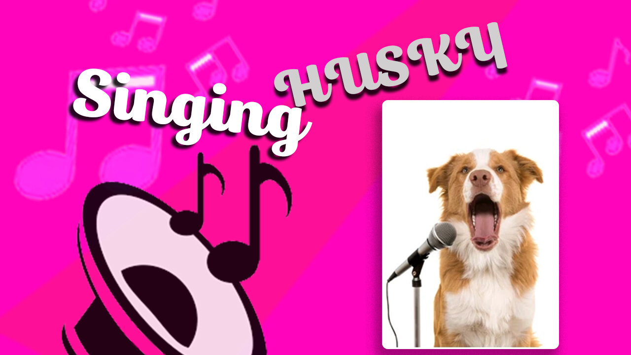 "The Singing Husky" Hilarious Husky Sings His Heart Out! You Won't Believe Your Ears!