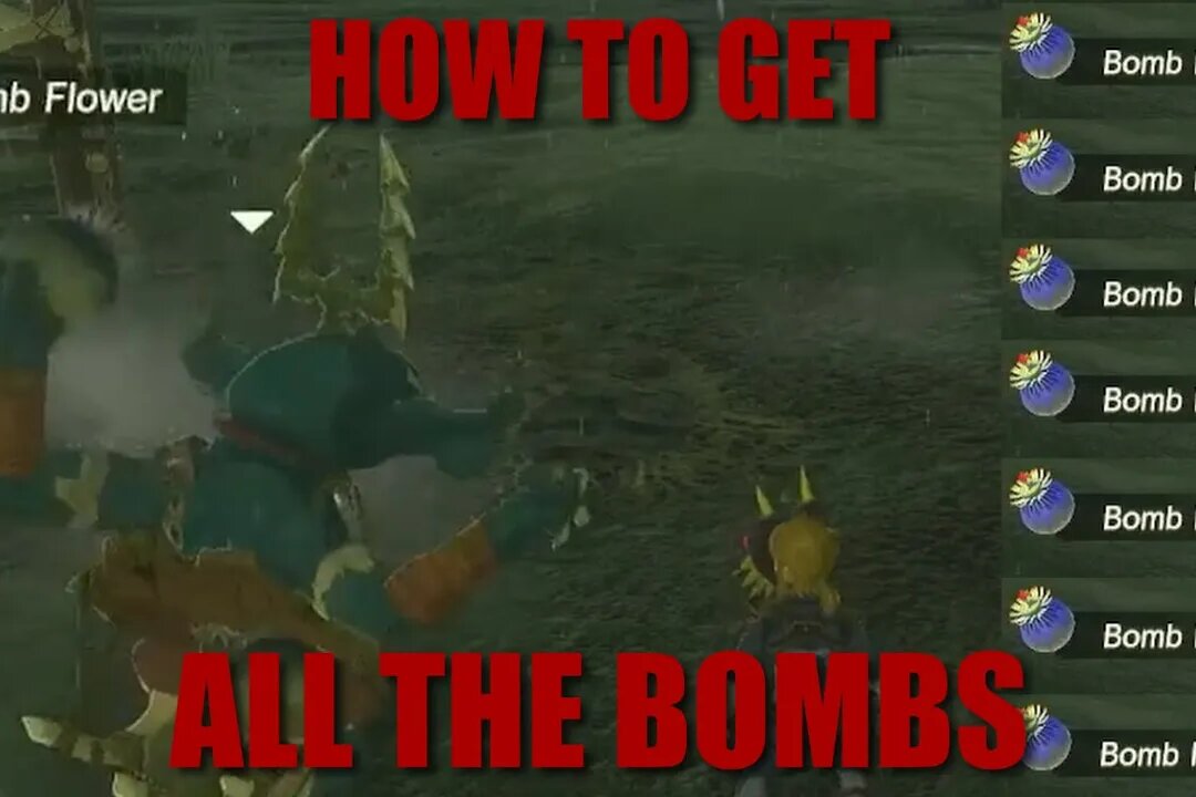 FARMING BOMBS : ZELDA TEARS OF THE KINGDOM