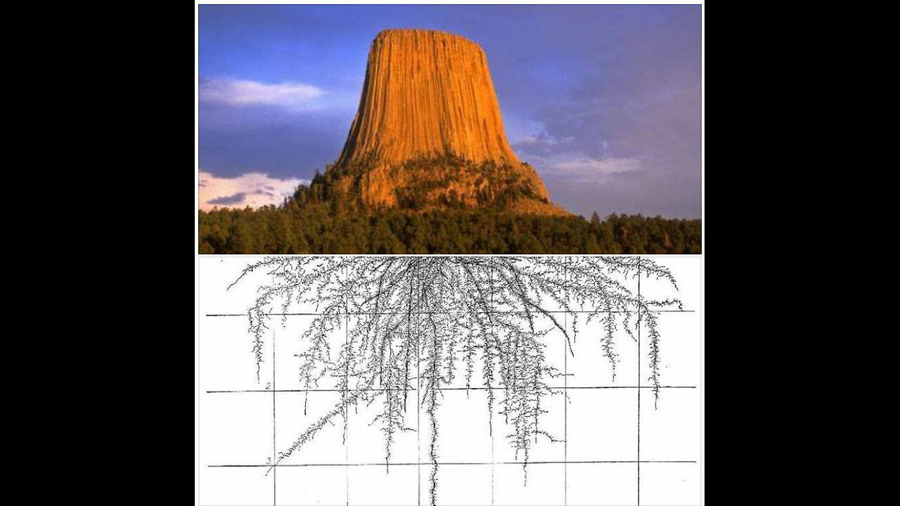 The Remaining Part Of Tiamat 🌴🧬