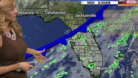 Action Weather Forecast