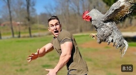 Funny Attack by animal on me ||