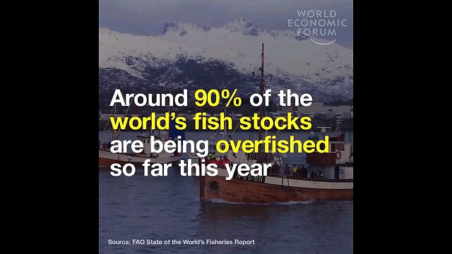 Around 90_ of the world_s fish stocks are being overfished