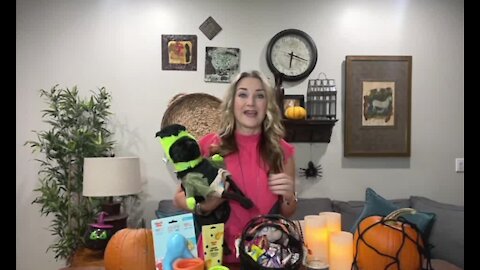 5 Tips to keep pets safe this Halloween