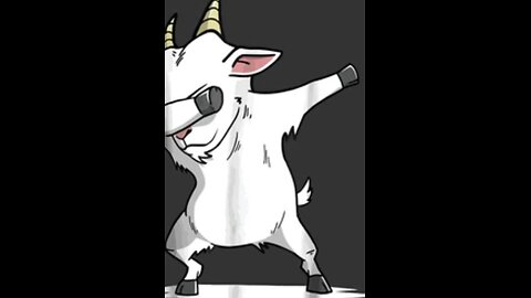 Funny goat video