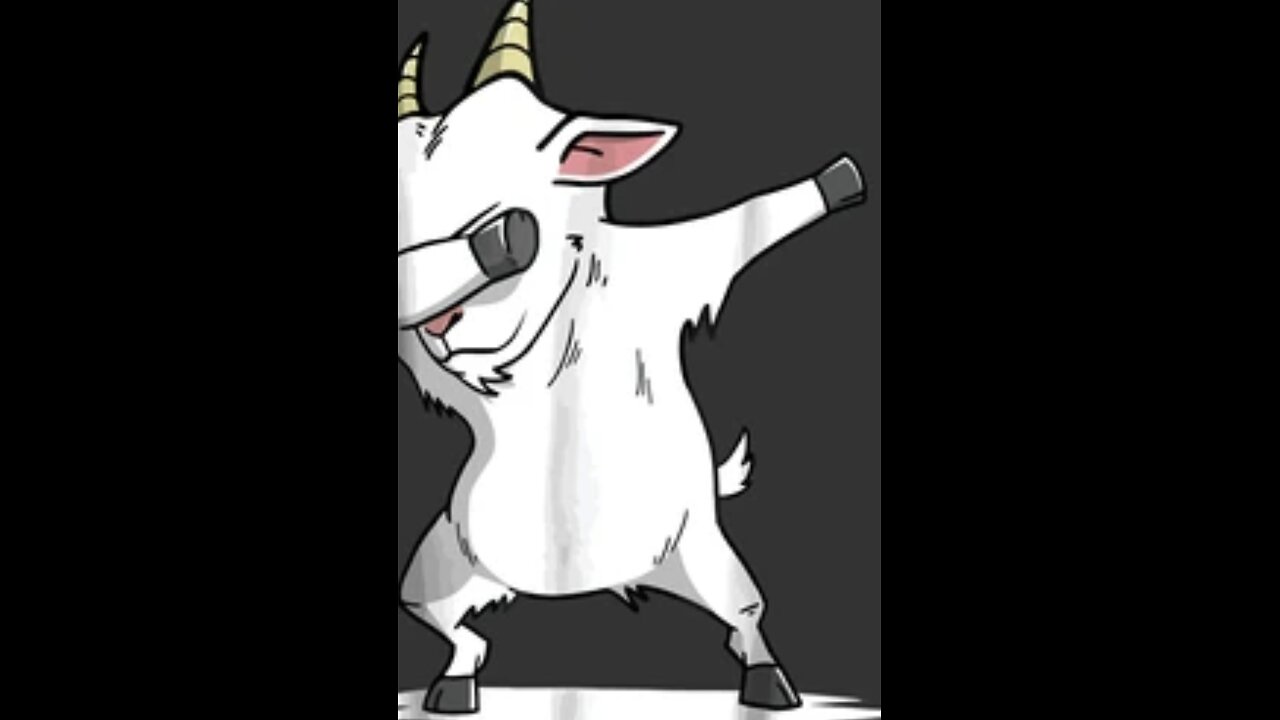 Funny goat video