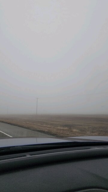 a little foggy drive