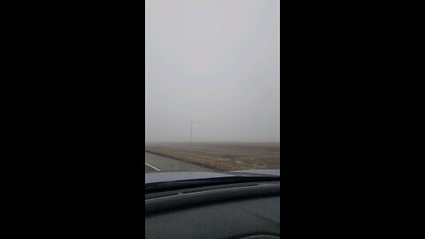 a little foggy drive