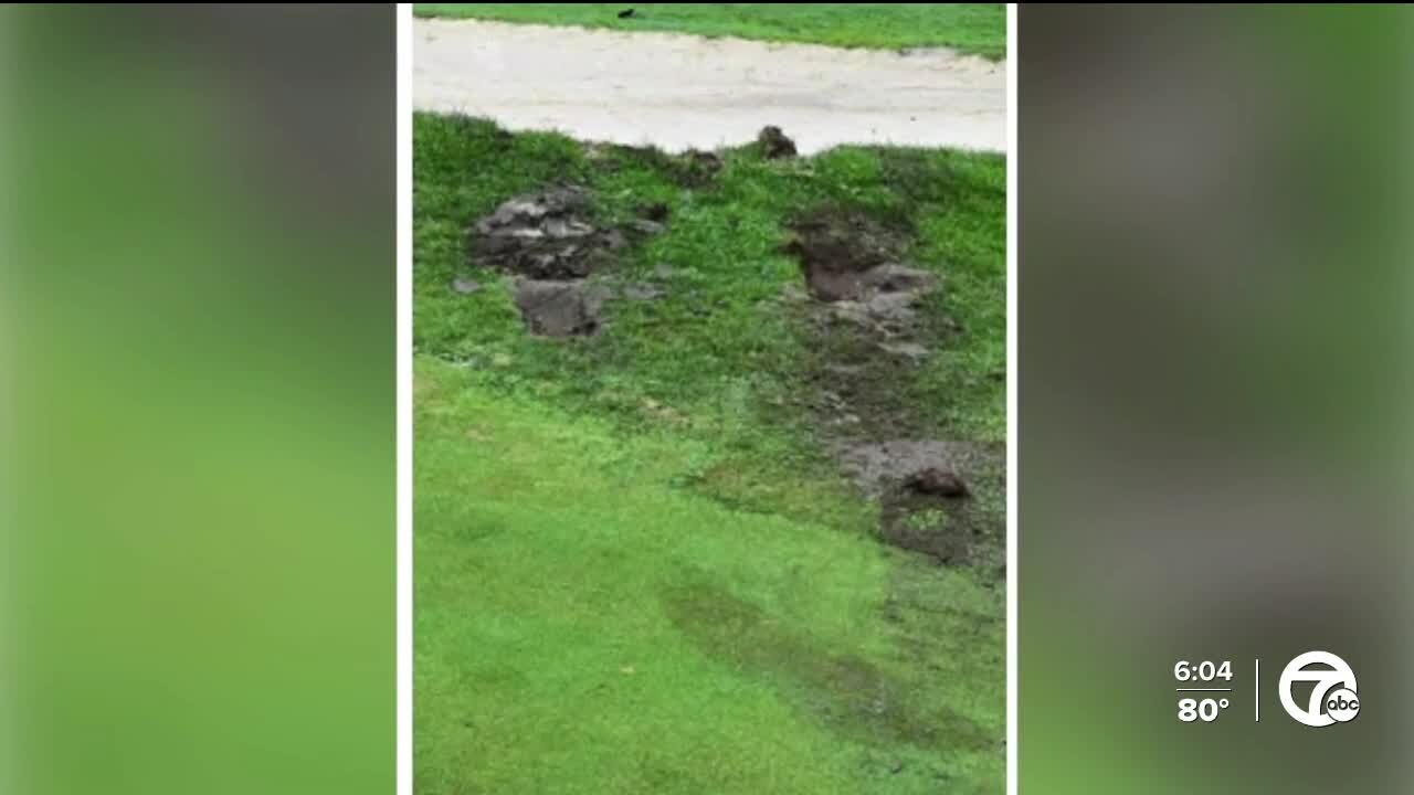 Suspects cause more than $50K in damage at recently upgraded Dearborn Heights golf course