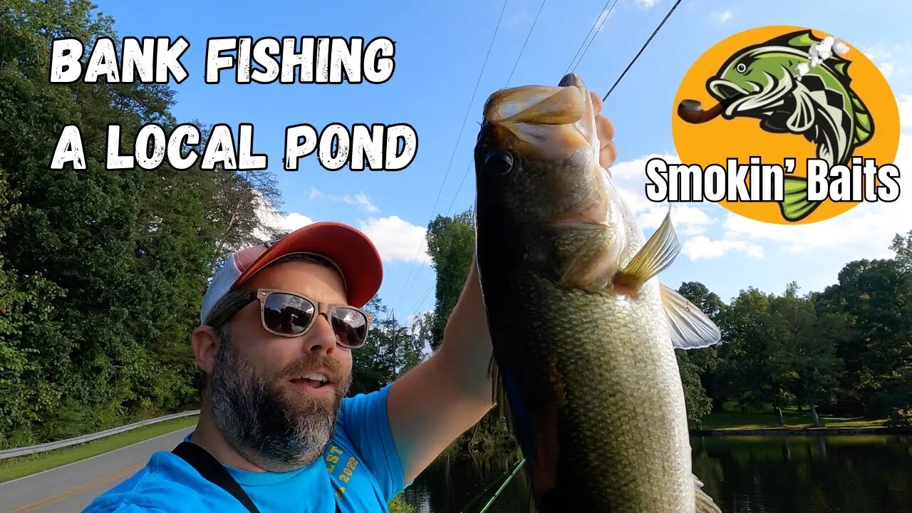 Bank Fishing a Neighborhood Pond for Largemouth Bass Using Custom Soft Plastics from Smokin Baits