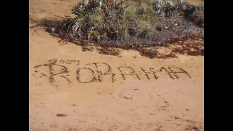 MONTE RORAIMA TOPO