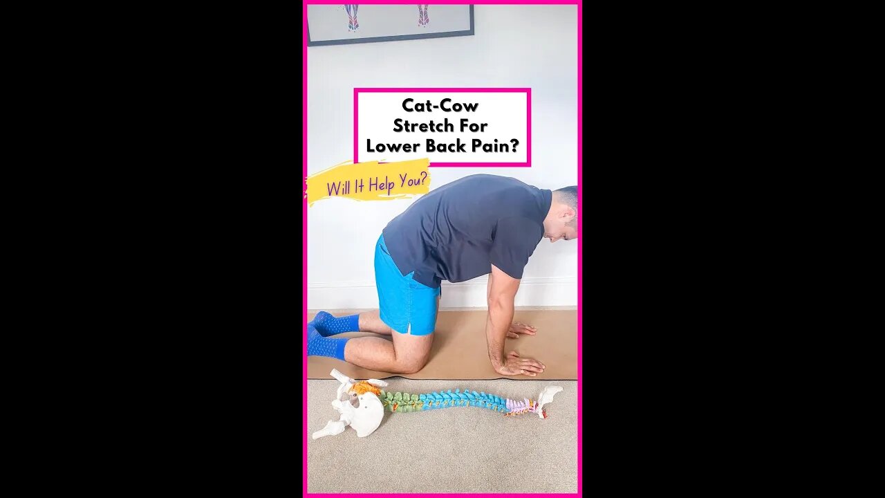 🤔 Cat-cow stretch for lower back pain?! #shorts