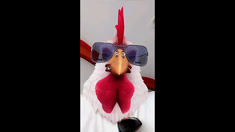 Snapchat Filter. Cool Rooster. Snapchat Filtro. Gallo Chido. 5.25.2023 Snapchat