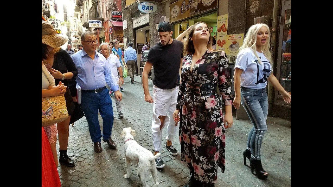 Sierra Jack Russell Terrier Tours Italian Street