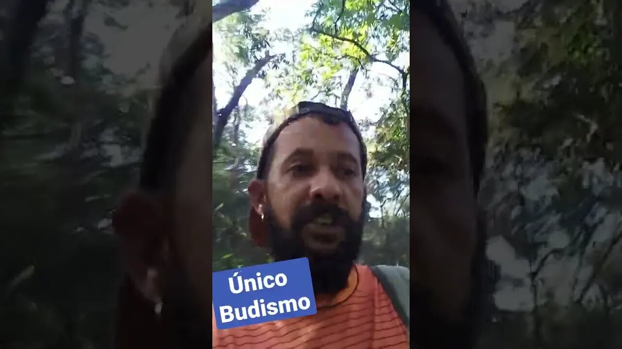 O único budismo