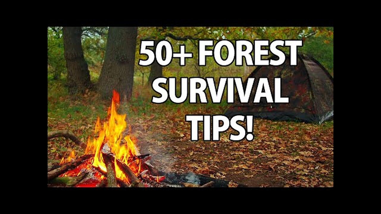 50+ Wilderness Survival Tips!