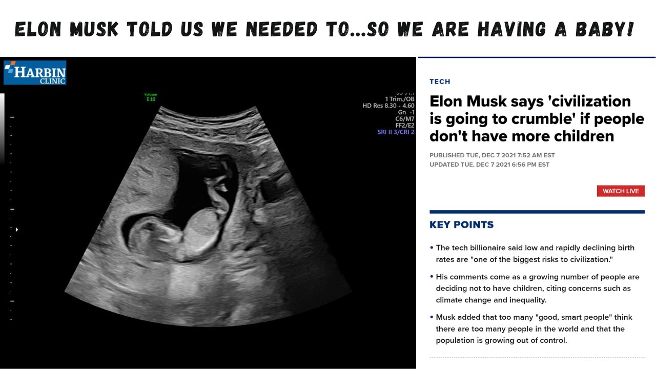 Elon Musk Told Us We Needed To...So We are having a Baby!