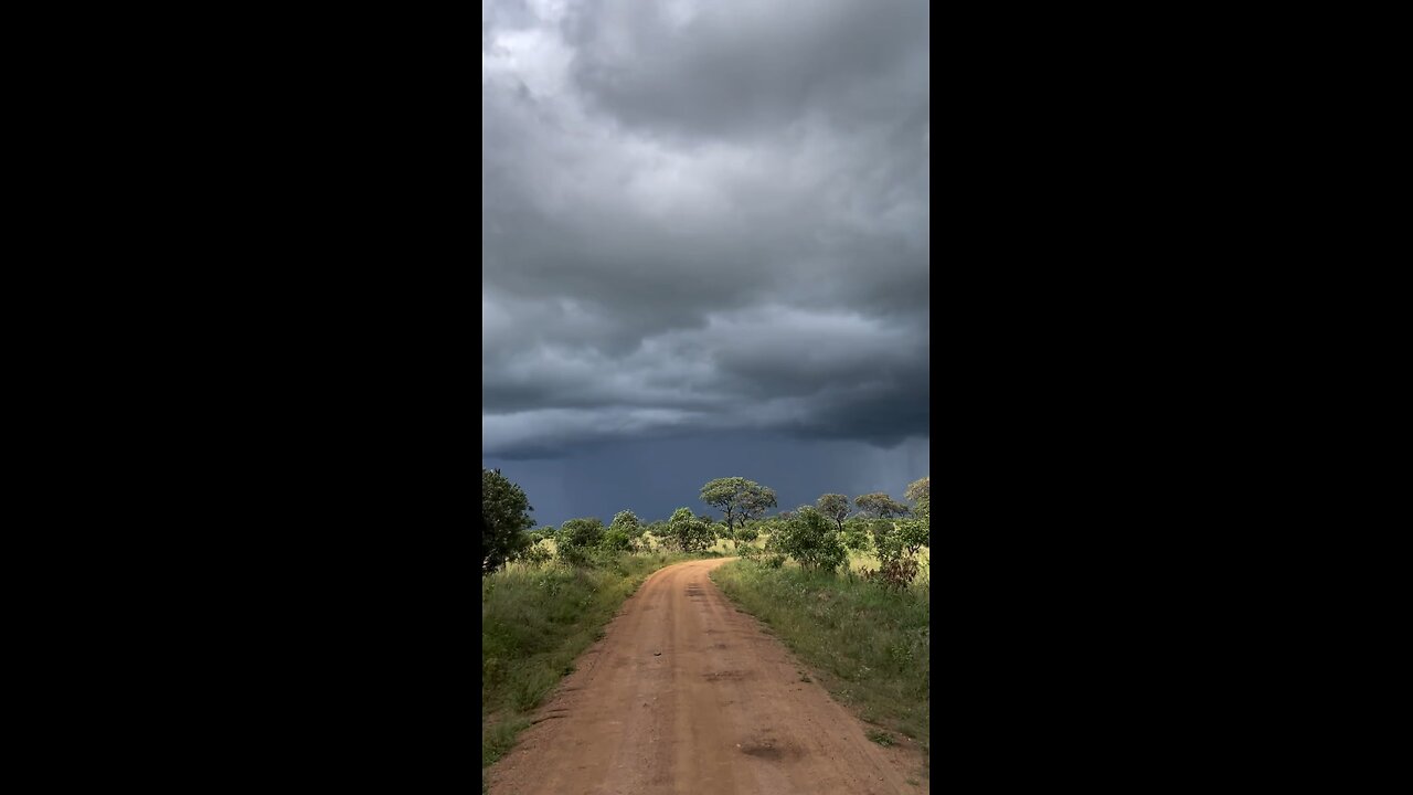 Cyclone Michaung