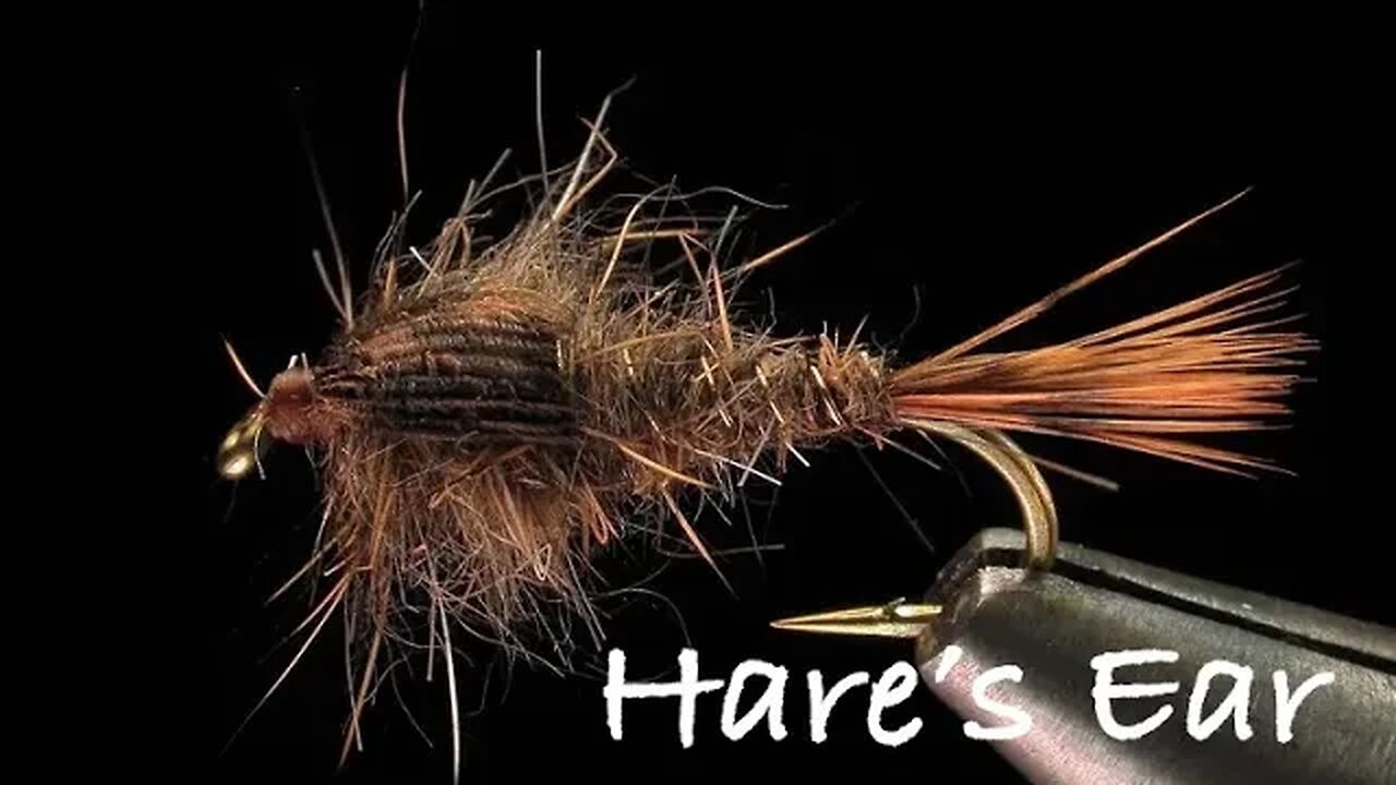 Gold Ribbed Hare's Ear Fly Tying - Tied by Charlie Craven