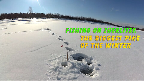 Fishing on zherlitsy. The biggest pike of the winter (with subtitles)