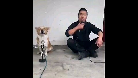 सिंगर
