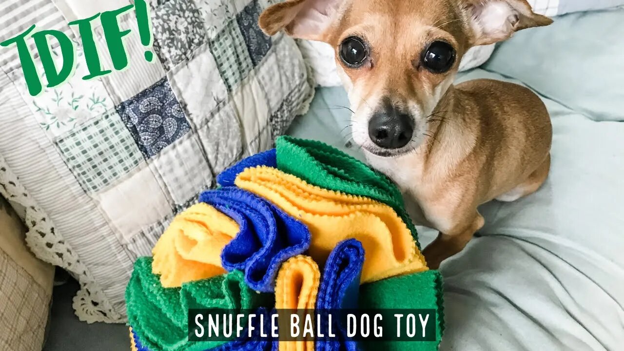 How to make a DIY Snuffle Ball Dog Toy