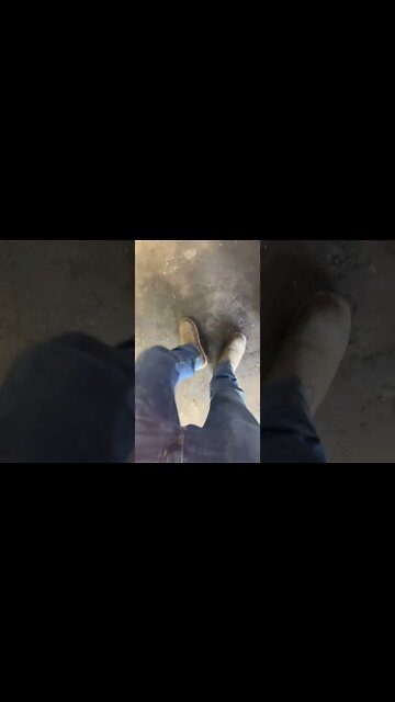 #shorts #2022 funny,prank,funjokes,dad jokes,funny memes,funny video,fun,laughing,funny animal,knock