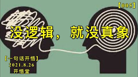 【信005】没逻辑，就没真象。20210826【一句话开悟】
