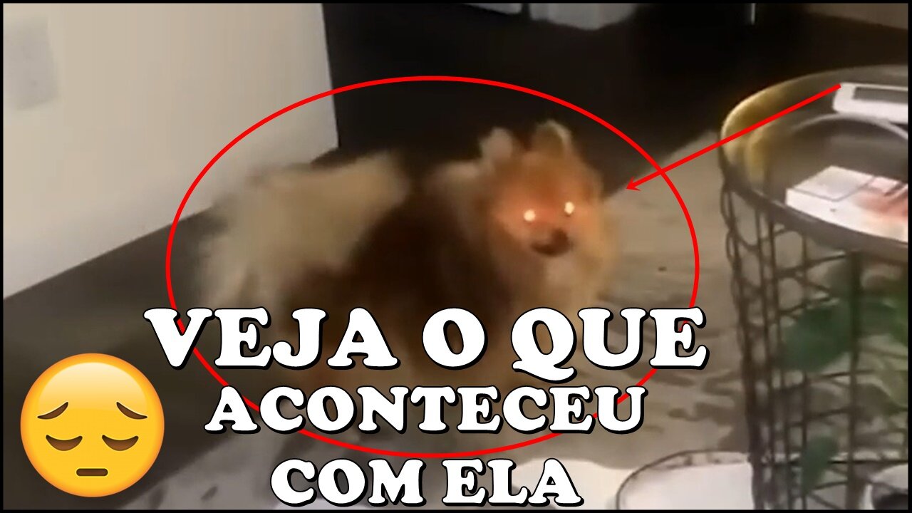 VEJA O QUE ACONTECEU COM ELA - E MAIS Vídeos Sem EXPLICAÇÃO #127