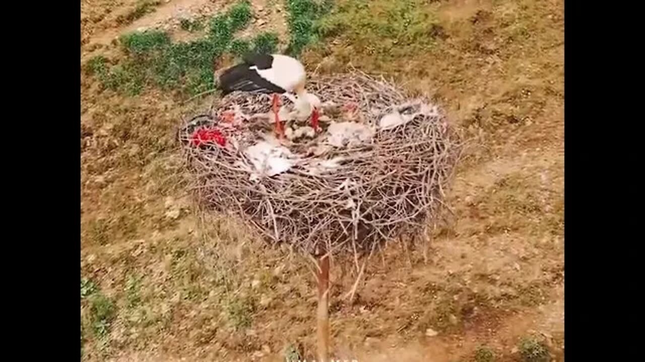 ۱۹ اوت ۲۰۲۲