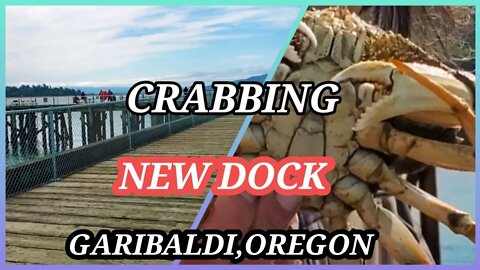 CRABBING NEW DOCK GARIBALDI, OREGON🇺🇸