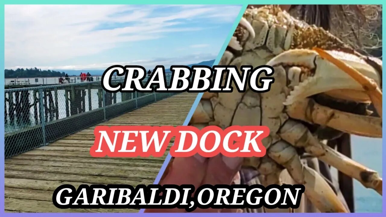 CRABBING NEW DOCK GARIBALDI, OREGON🇺🇸