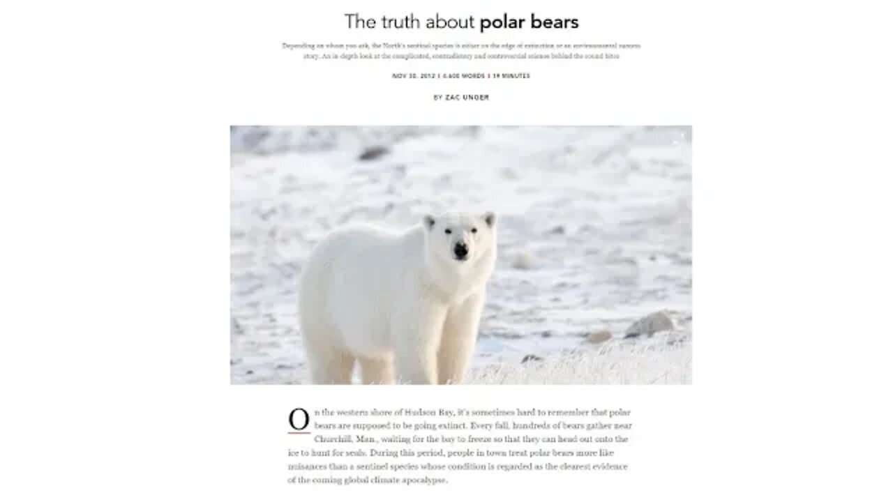 Do Polar Bears Need Summer Sea Ice?