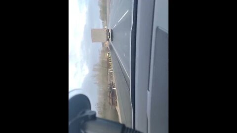 Driving Live 2