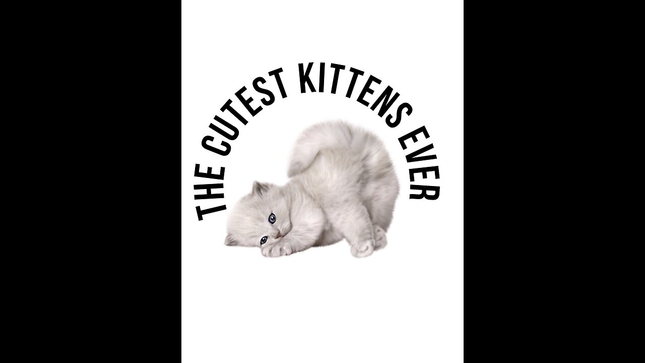 Aren't they just the cutest things ever?