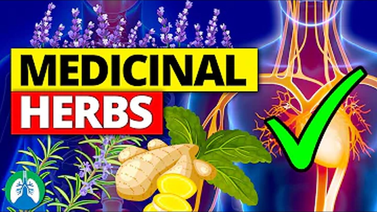 TOP 10 MOST POWERFUL MEDICINAL HERBS (BACKED BY SCIENCE) 2023