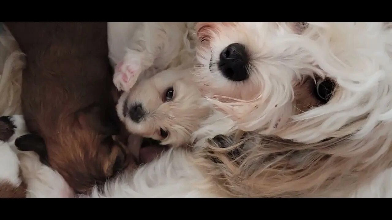 How Is This Comfortable?