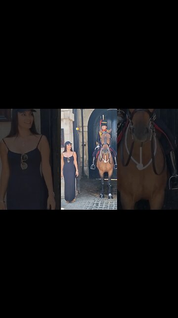 Her eyes go wide at the horse #horseguardsparade