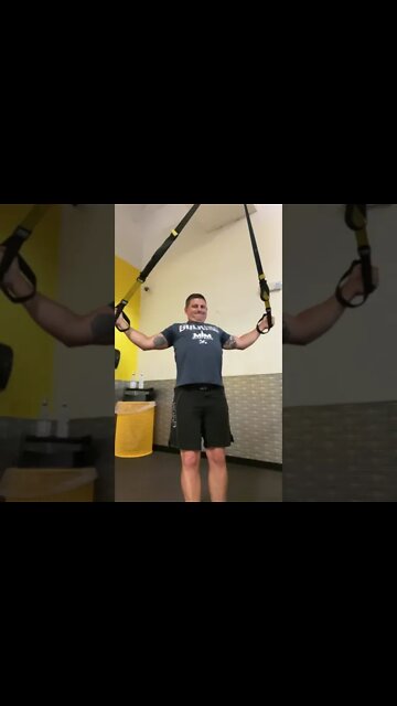 Travel Lifts - TRX Rear Delt Flys 20210826