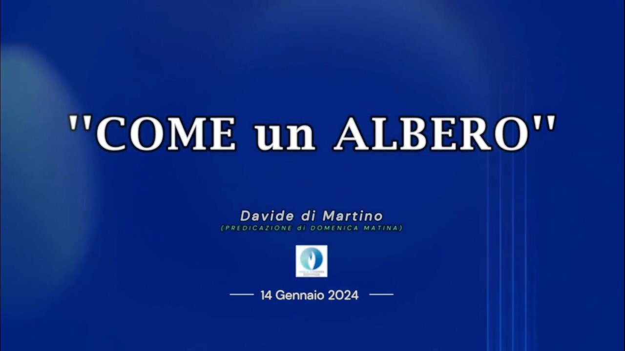 COME un ALBERO - Davide di Martino